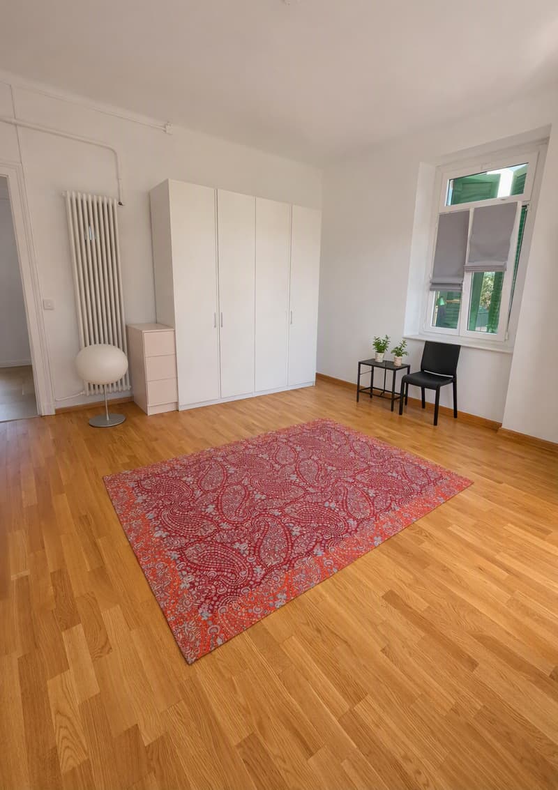 Appartamento in ottima posizione a Massagno (11)