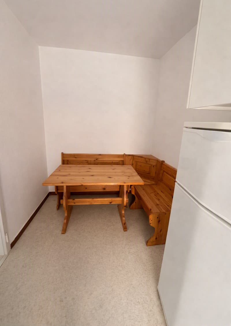 Appartamento con terrazzo a Bioggio (7)