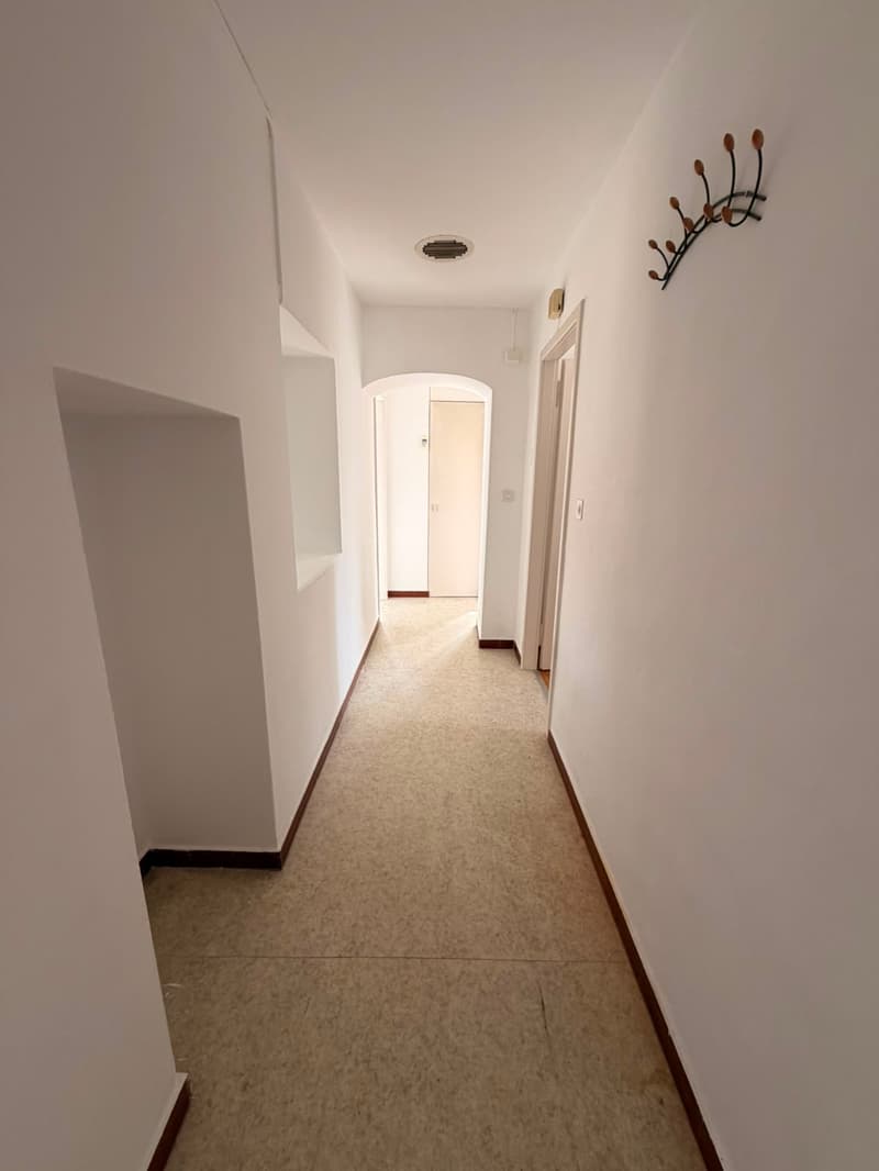 Appartamento con terrazzo a Bioggio (3)