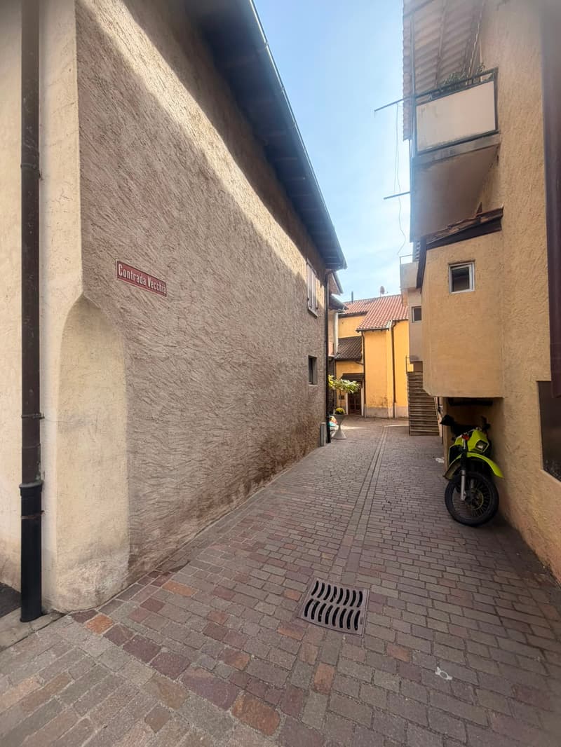 Appartamento con terrazzo a Bioggio (16)