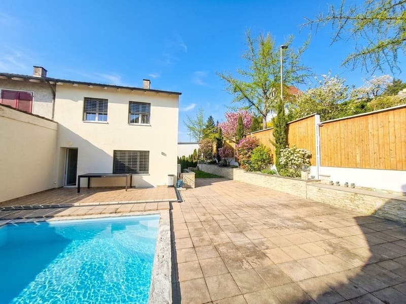 Modern, renovated and with pool (5)
