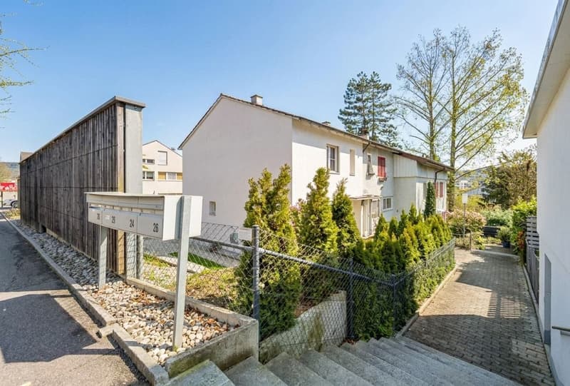 Modern, renovated and with pool (1)