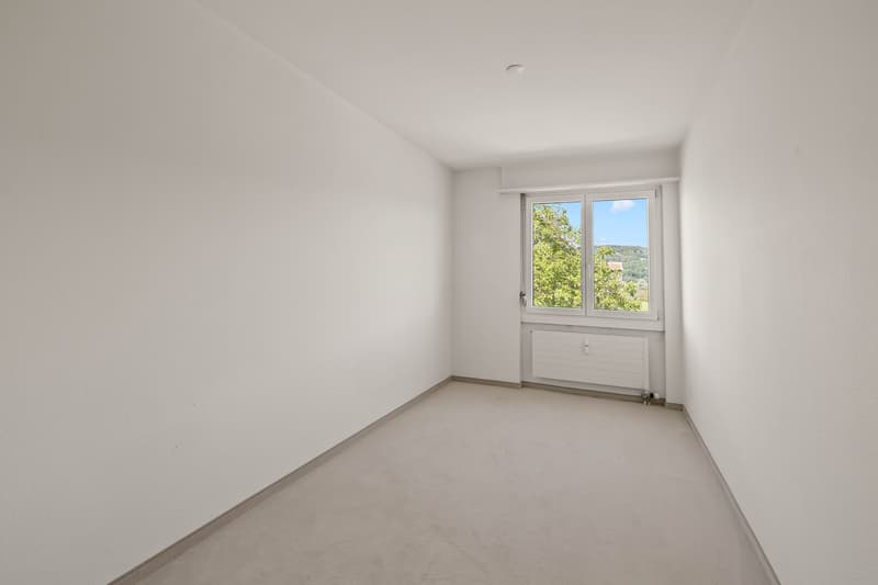 Panoramic view and 2 balconies (10)