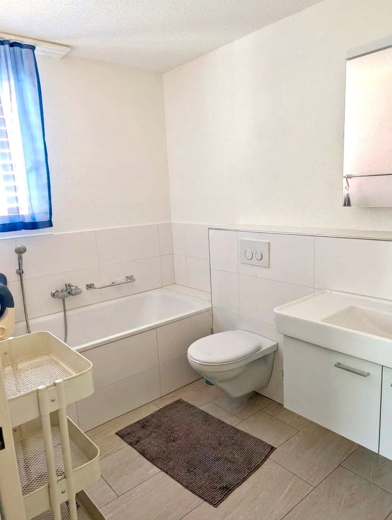 Appartamento luminoso 5.5 locali con vista panoramica (7)