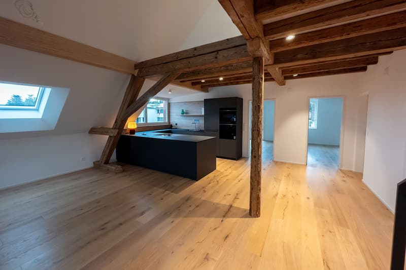 Maisonette 4,5 locali con terrazza sul tetto in affitto, Münchwilen (6)