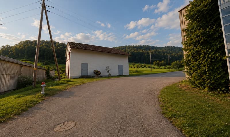 Terreno edificabile commerciale con permesso di costruire a Läufelfingen (2)