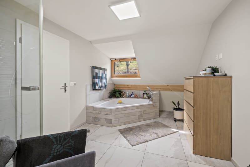 Live quietly on the edge of the forest in a modern home with plenty of privacy (10)