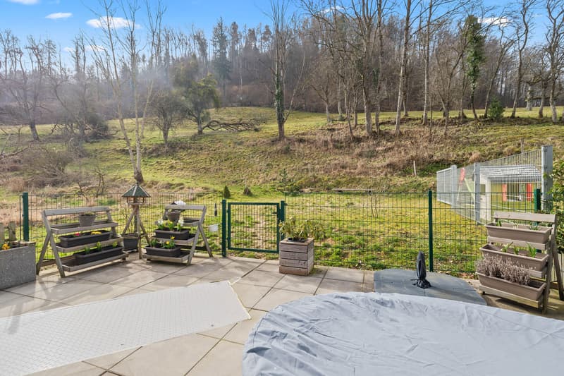 Live quietly on the edge of the forest in a modern home with plenty of privacy (3)