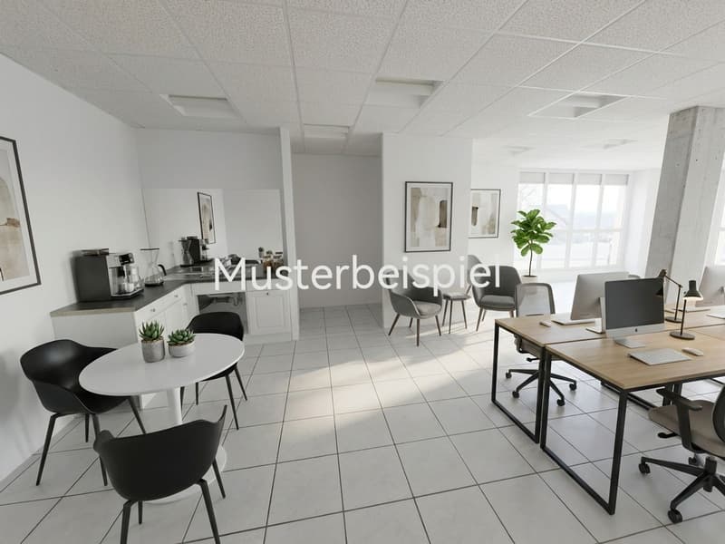 Bürofläche zur Miete in Nuglar-St. Pantaleon (8)