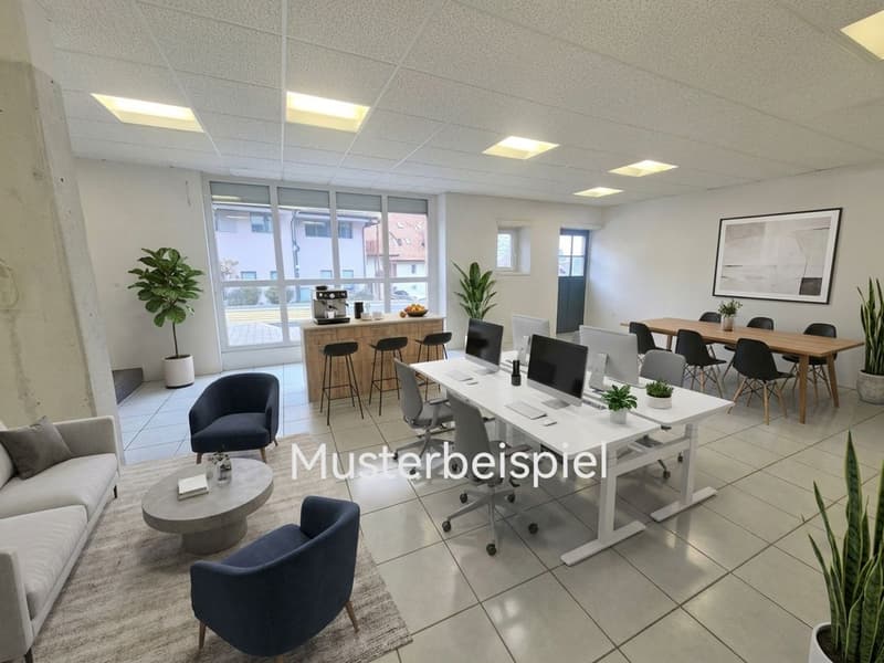 Bürofläche zur Miete in Nuglar-St. Pantaleon (10)