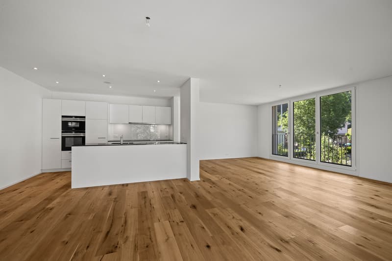 MODERNE, DE HAUTE QUALITÉ ET LUMINEUSE (3)