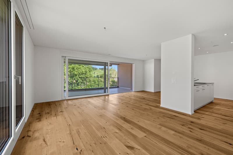 MODERNE, DE HAUTE QUALITÉ ET LUMINEUSE (6)