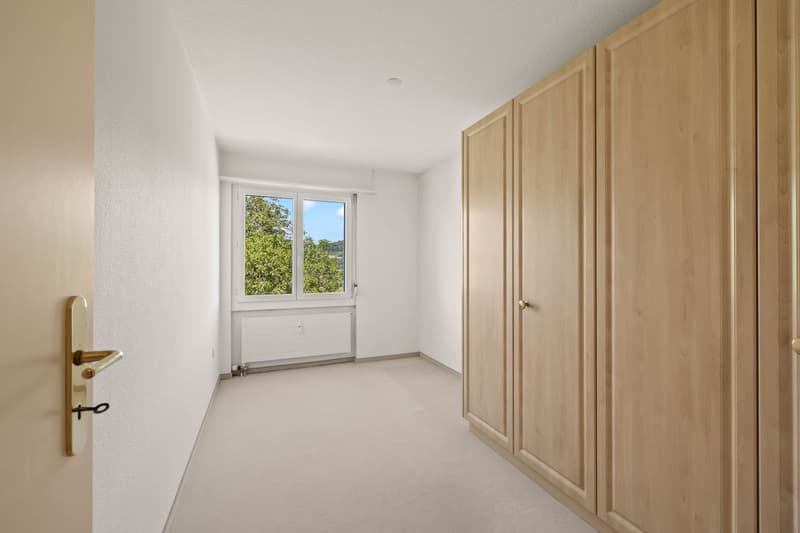 Panoramic view and 2 balconies (12)