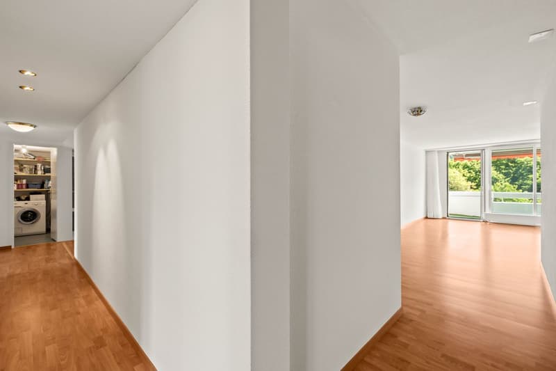 Panoramic view and 2 balconies (8)