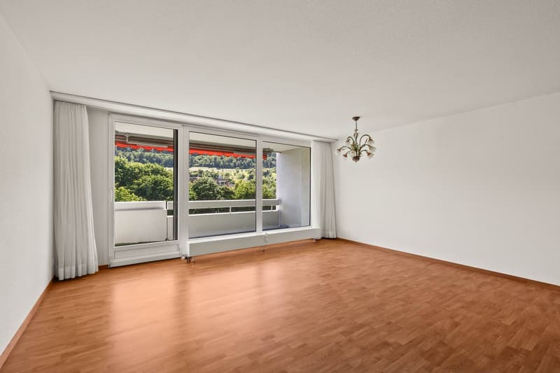 Panoramic view and 2 balconies (6)