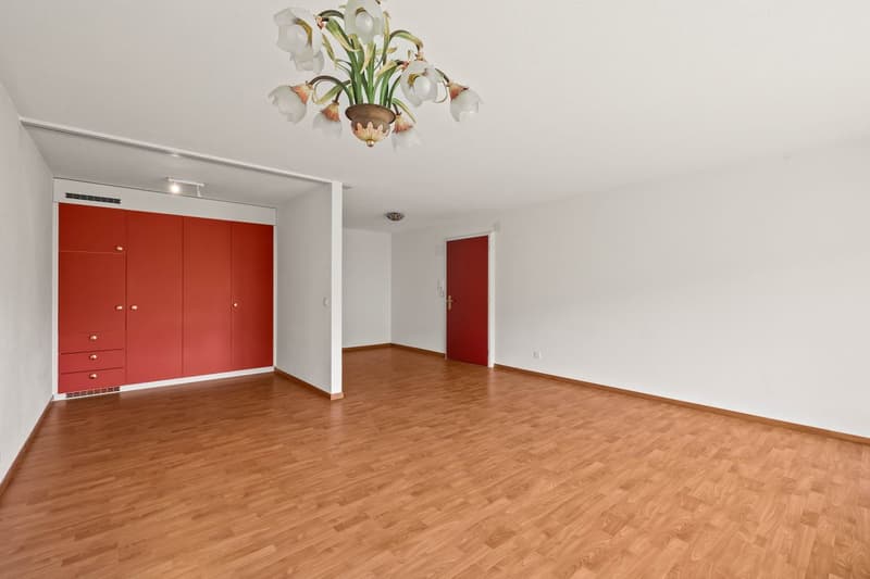 Panoramic view and 2 balconies (9)