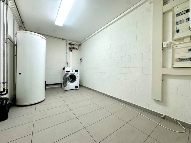 Loft, lumineux et spacieux (9)