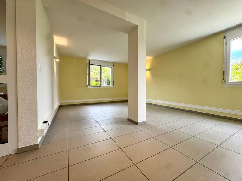 Loft, lumineux et spacieux (4)