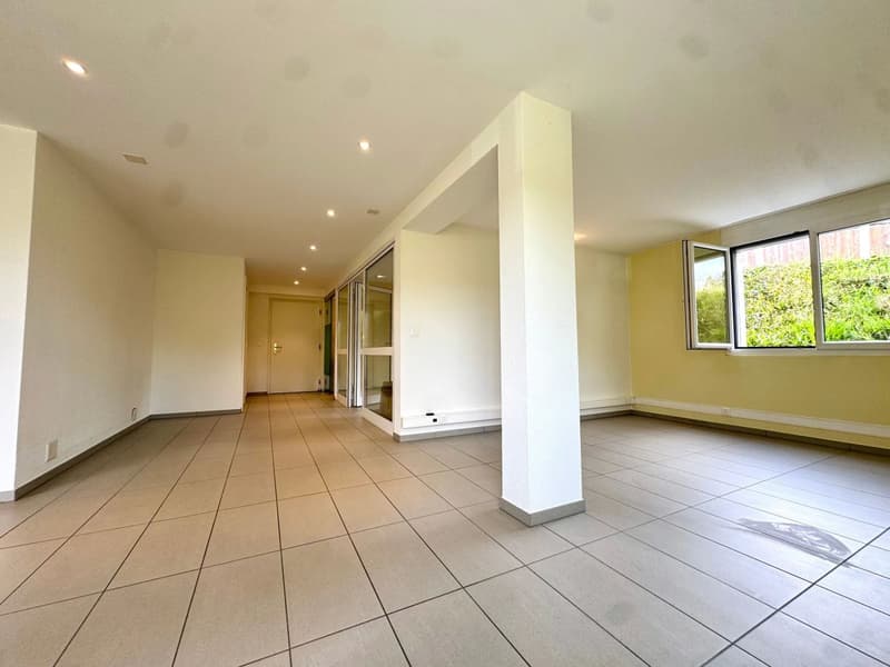 Loft, lumineux et spacieux (3)