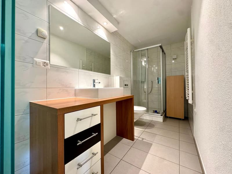 Loft, lumineux et spacieux (7)