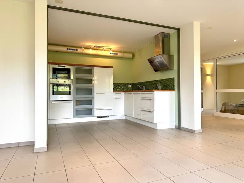 Loft, lumineux et spacieux (2)