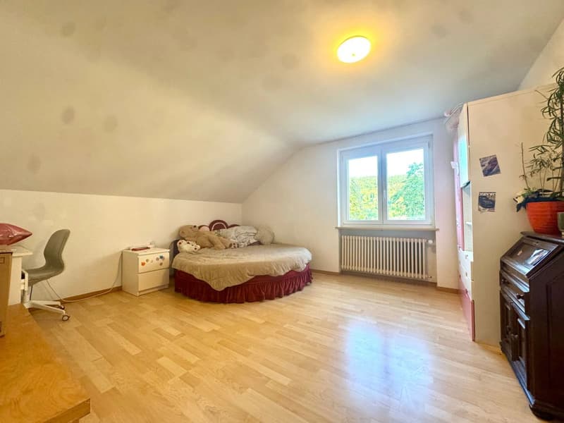 Renoviert mit Weitsicht (6)