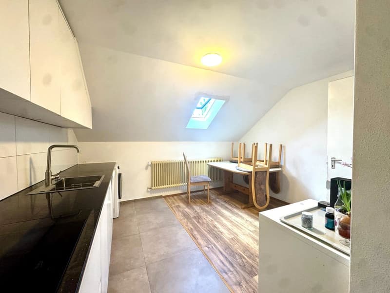 Renoviert mit Weitsicht (4)