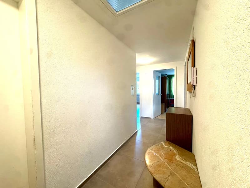 Renoviert mit Weitsicht (9)