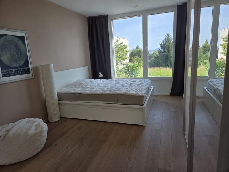 Einmalige Gelegenheit in Binningen (6)
