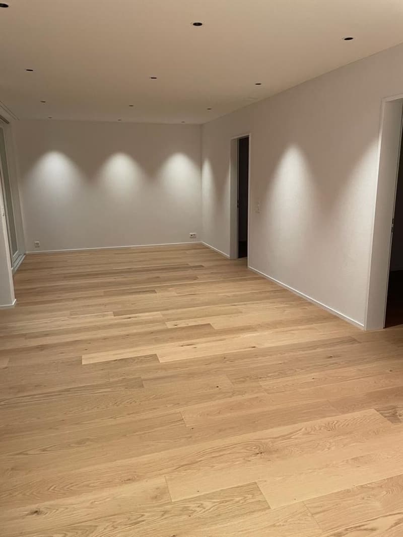 Exclusive like-new apartment with loggia (5)