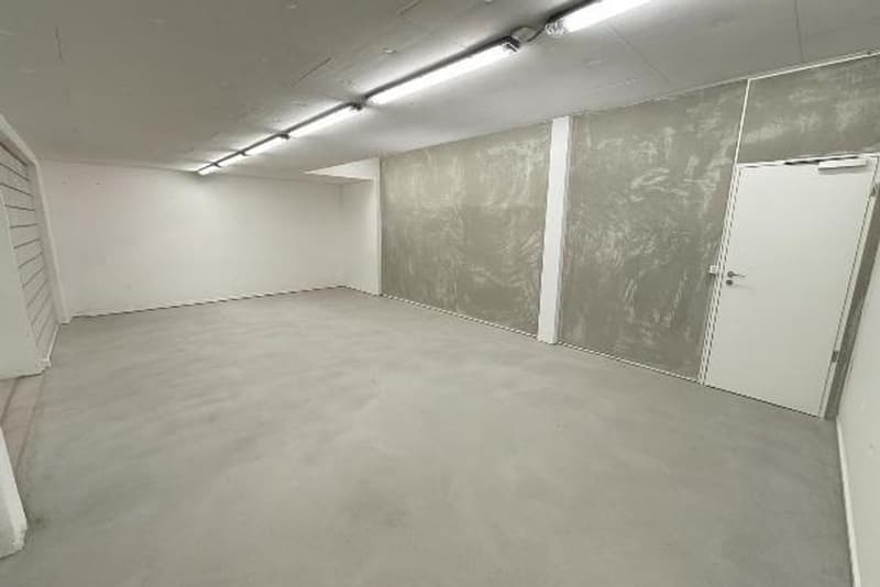 52 m² Lager-/Hobbyraum, neu und zentral, in Seengen mieten (3)