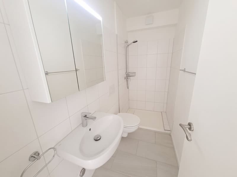 Bright 5-room attic apartment with a view in Basel for rent (7)