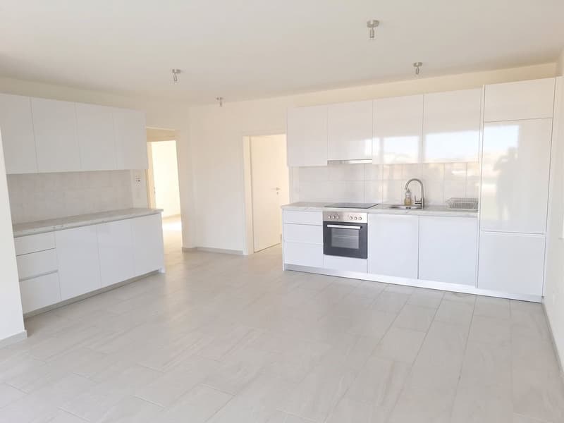 Bright 5-room attic apartment with a view in Basel for rent (2)