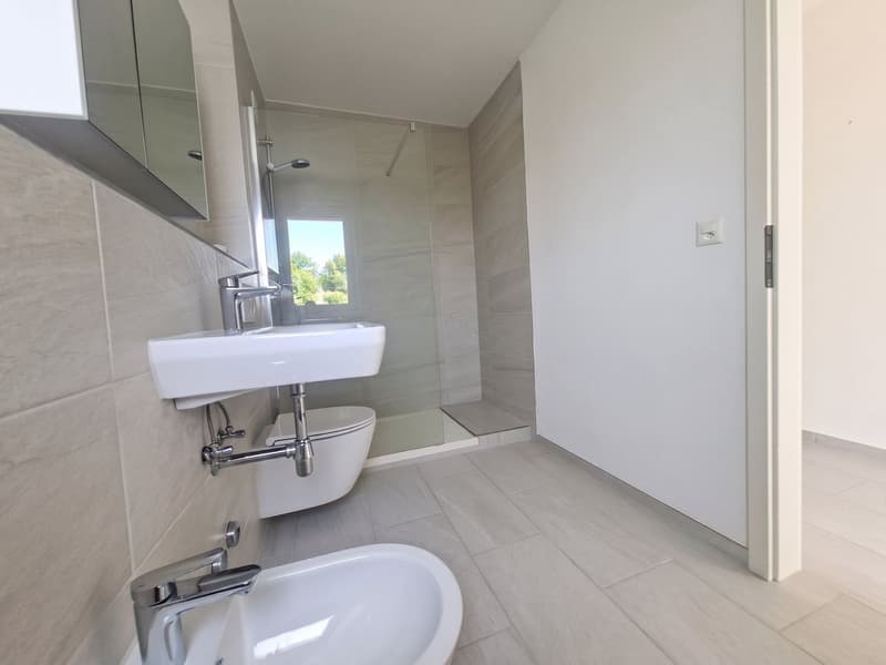 Bright 5-room attic apartment with a view in Basel for rent (6)