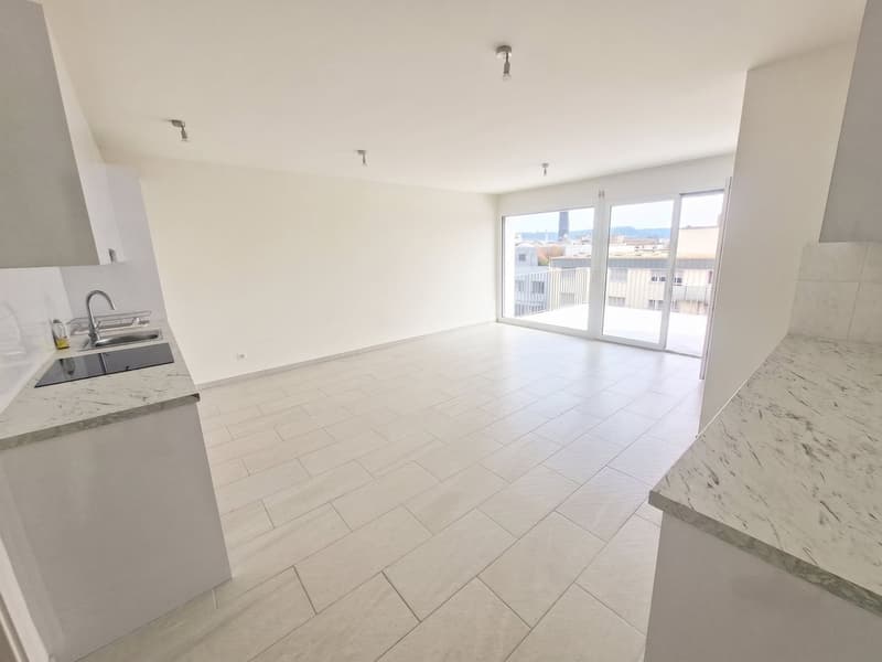 Bright 5-room attic apartment with a view in Basel for rent (3)