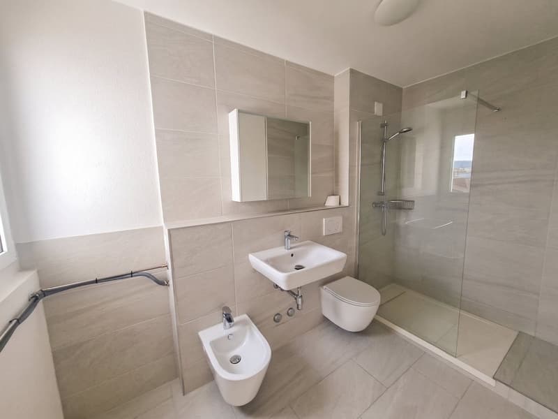 Bright 5-room attic apartment with a view in Basel for rent (5)