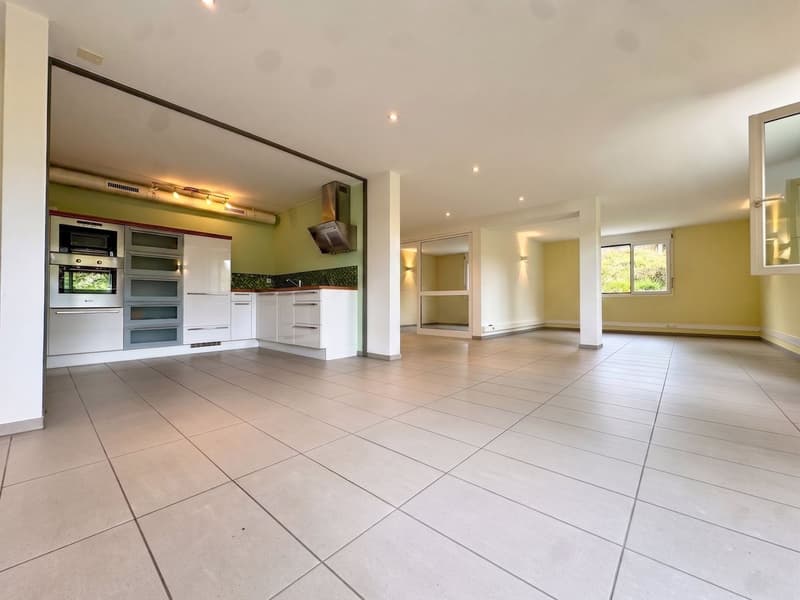 Loft, light and spacious (1)