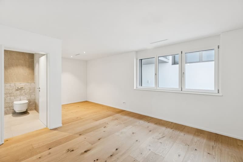 JURA VIEW - Architektur, Technik und Wohnqualität auf höchstem Niveau (4)