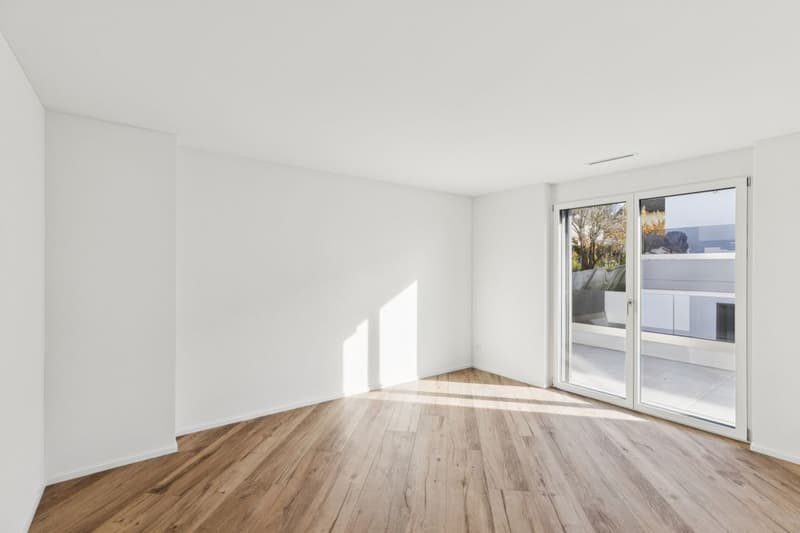 JURA VIEW - Architektur, Technik und Wohnqualität auf höchstem Niveau (7)