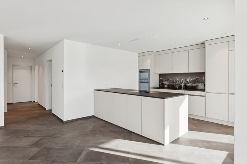 JURA VIEW - Architektur, Technik und Wohnqualität auf höchstem Niveau (2)