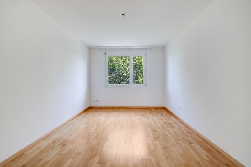 Helle Attikawohnung mit Aussicht und grosser Terrasse (11)