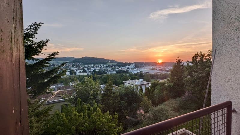 Fantastische Aussicht mit grosszügigem Garten (3)