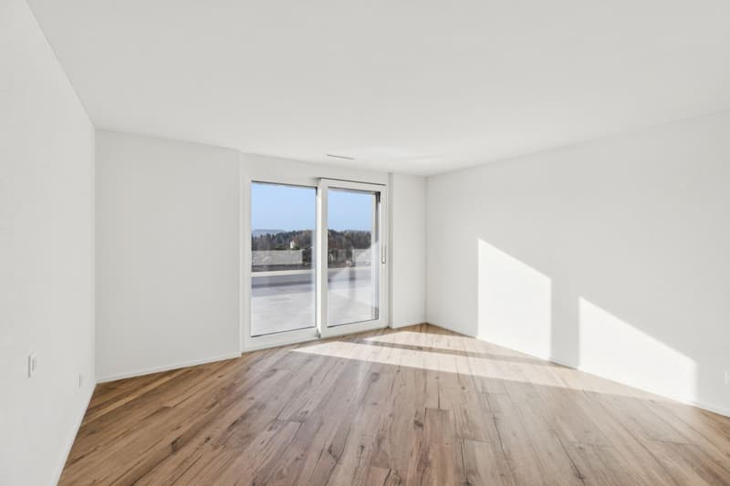 JURA VIEW - Architektur, Technik und Wohnqualität auf höchstem Niveau (7)