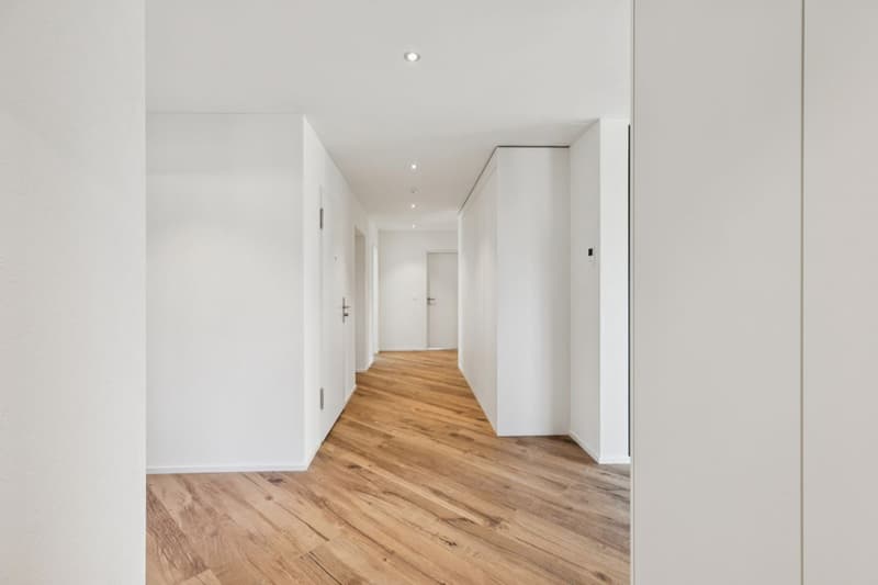 JURA VIEW - Architektur, Technik und Wohnqualität auf höchstem Niveau (4)