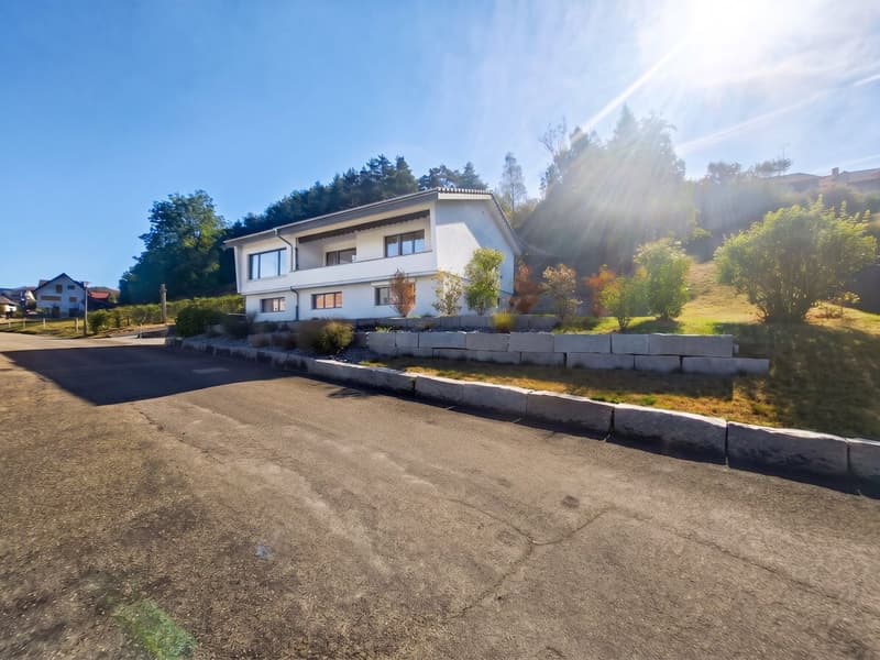 Geräumiges 5.5-Zimmer Einfamilienhaus mit Aussicht in Seewen (1)