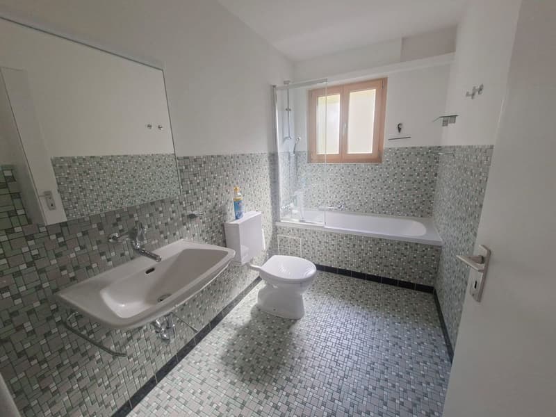 Geräumiges 5.5-Zimmer Einfamilienhaus mit Aussicht in Seewen (12)