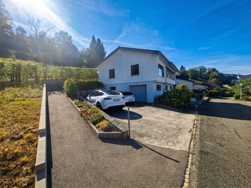 Geräumiges 5.5-Zimmer Einfamilienhaus mit Aussicht in Seewen (2)