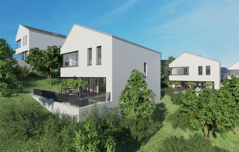 Exklusive Neubau-Einfamilienhäuser in Blauen (1)