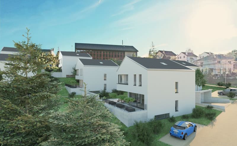 Exklusive Neubau-Einfamilienhäuser in Blauen (3)