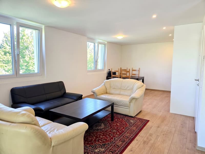 Neuwertig mit grossem Balkon, unverbaubarer Aussicht (5)